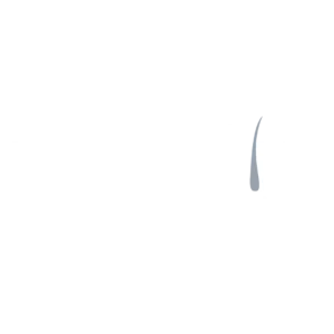 NovoFio_Logotipo_png (1)