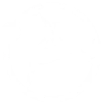 arena tunel Performer Digital