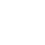 bee organiza Performer Digital