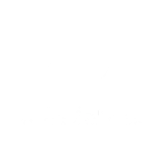 bee organiza Performer Digital