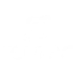 fornac Performer Digital