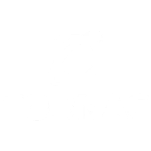 fornac Performer Digital