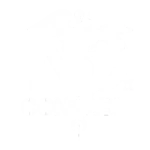 ncx contabil Performer Digital